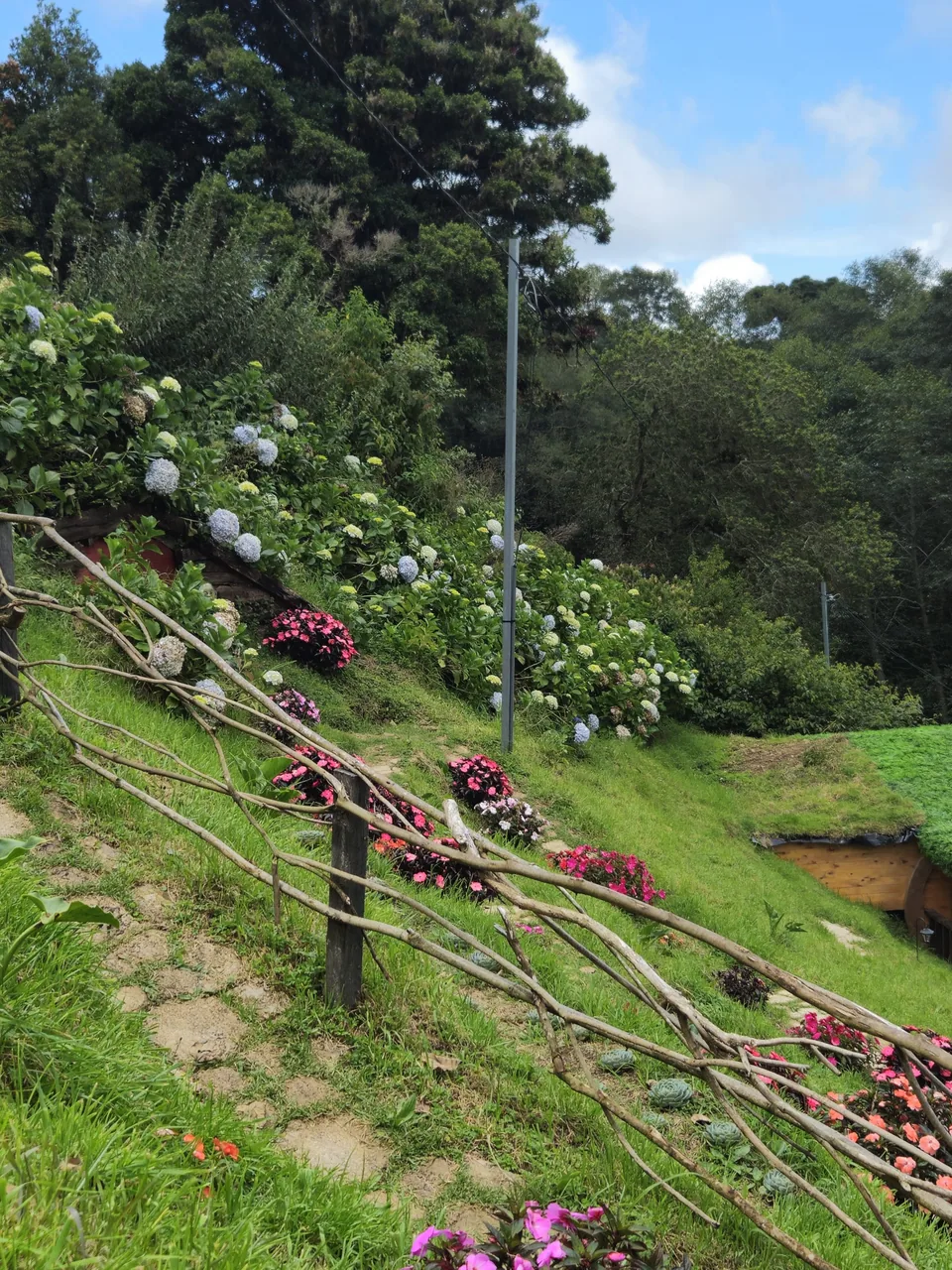 A flowering border on a green hillside