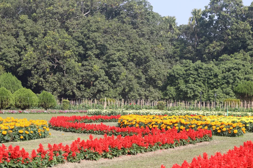 Beds of red and yellow flowers bordered by dense green trees