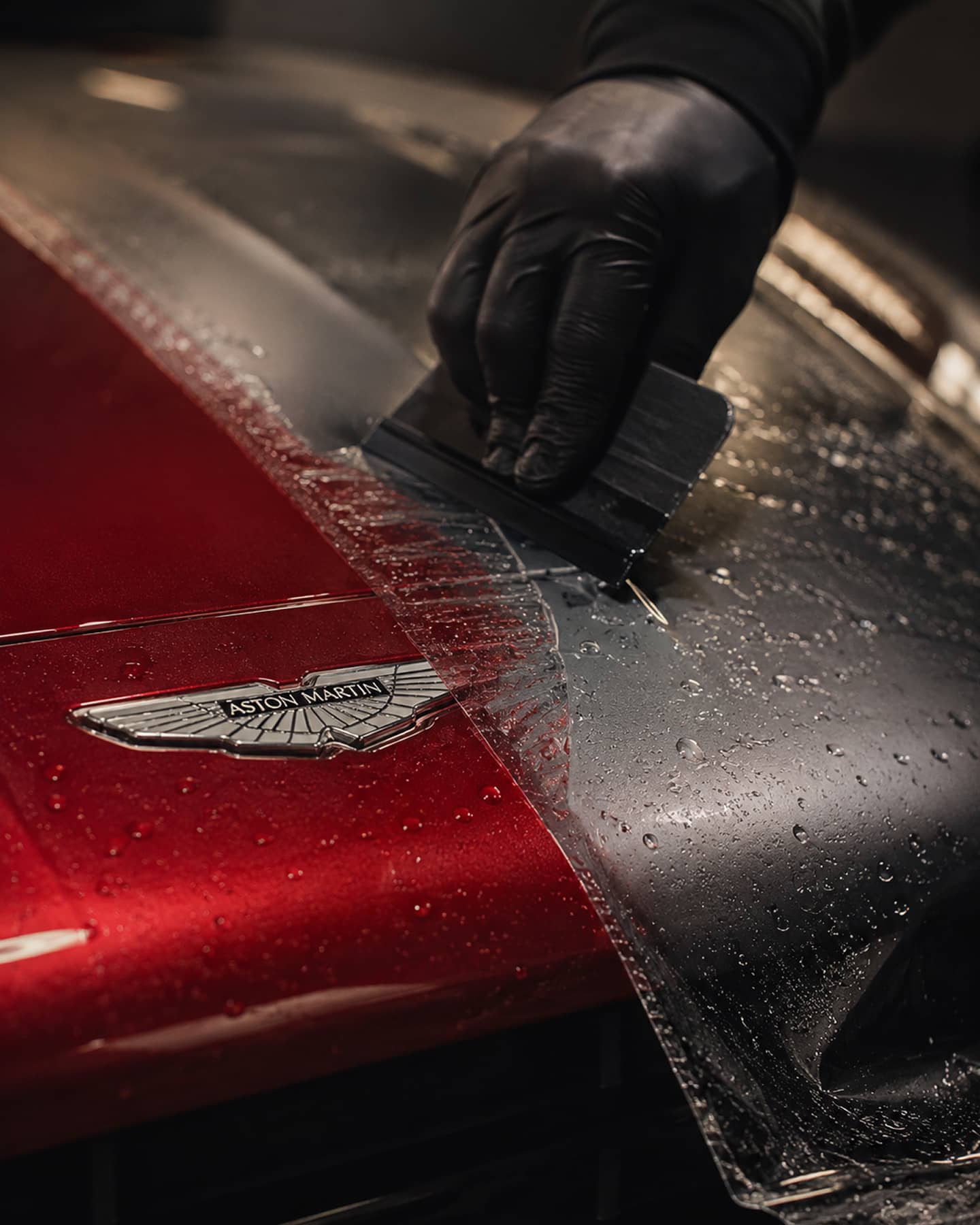 Forge paint protection service detail